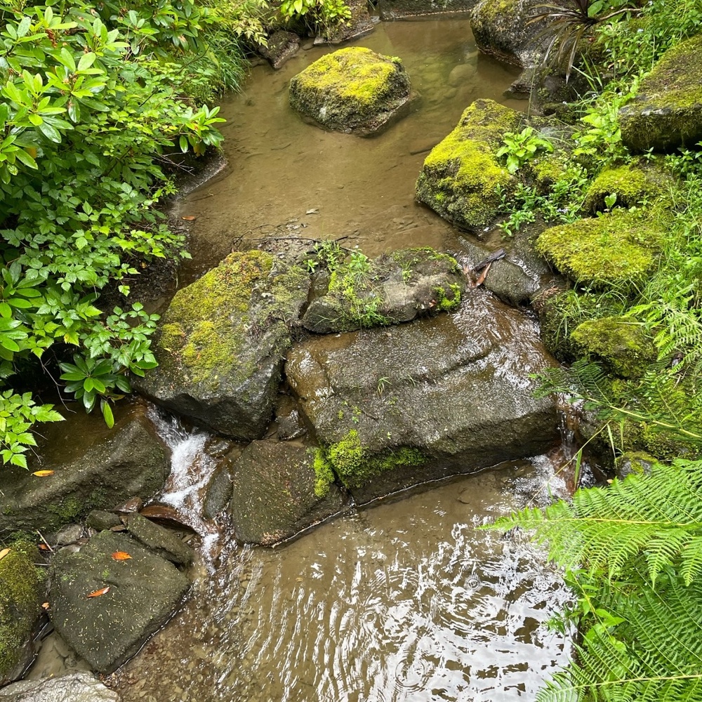 Meet your Posher, Chelsie